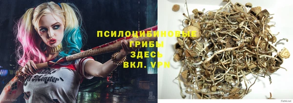 стаф Ладушкин