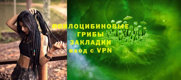 стаф Ладушкин